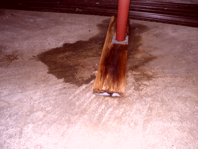 Leak found under a whirlpool in a Madison crawlspace